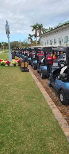 Carts-Lined-up-before-the-Start